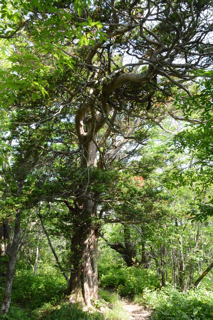 산이미지