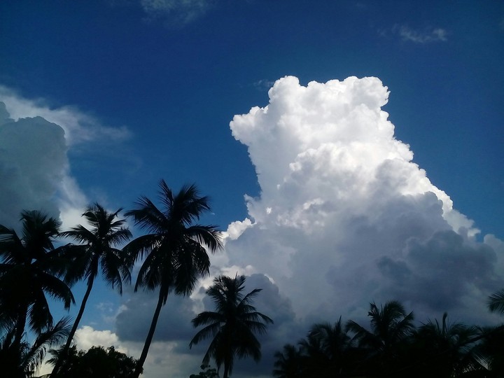 Nature at its best