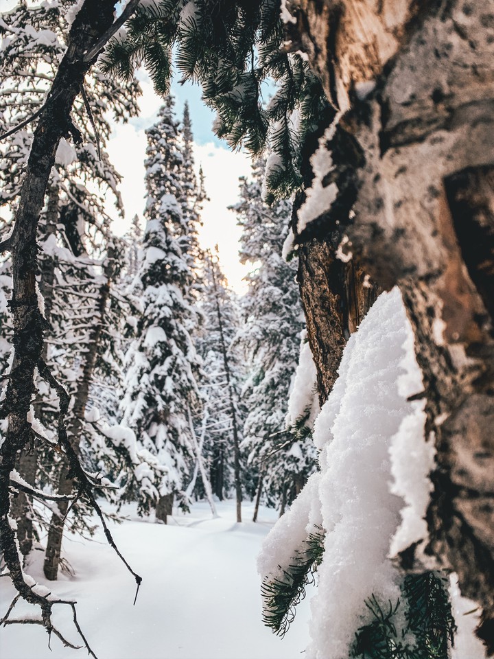 snow