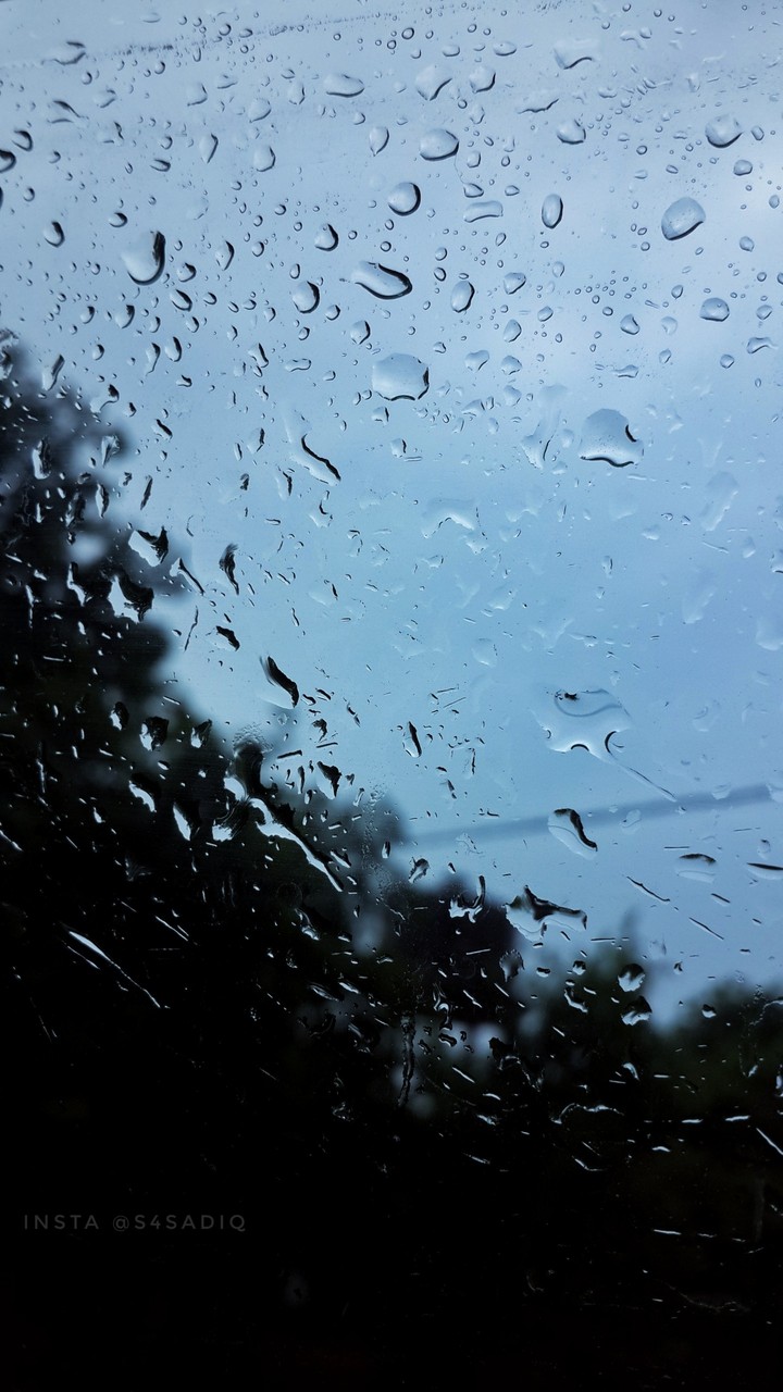 Rainy Vibes