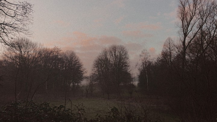 the early morning