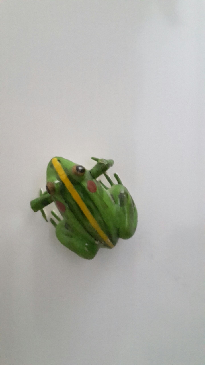 frog