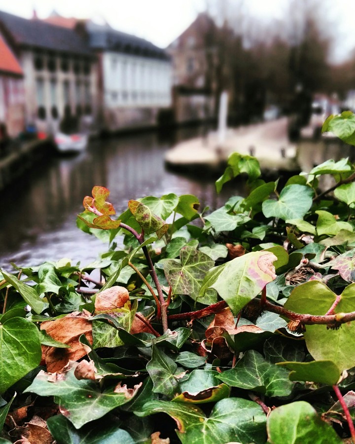 Bruges