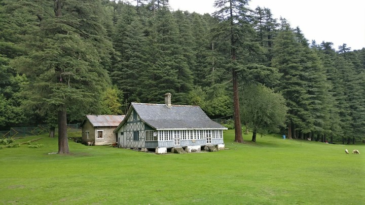 Cabin in the woods