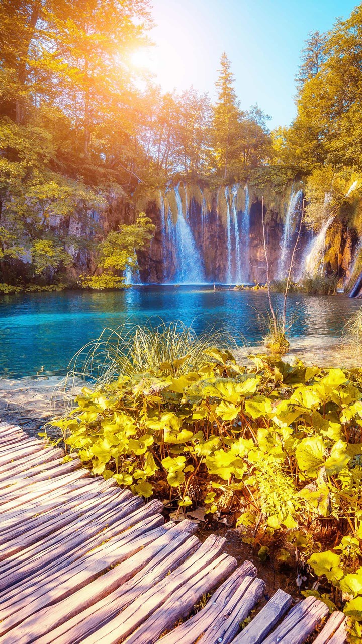 Yellow Nature