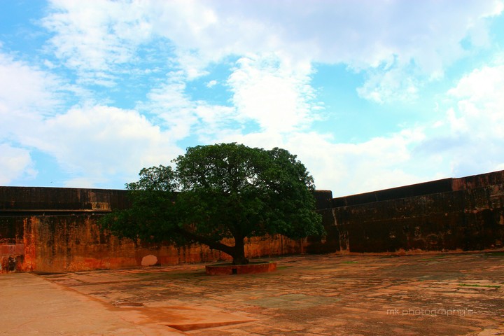mk photography's