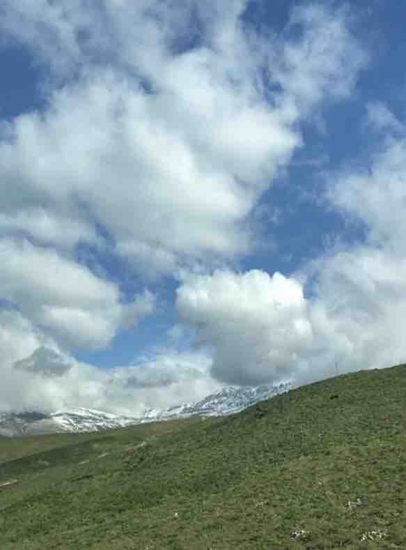 Prato e neve
