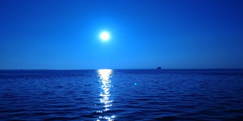 Everything is blue