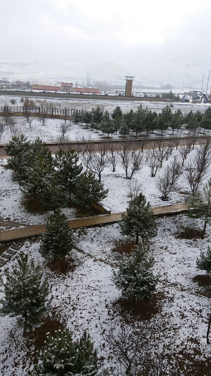 Winter ❄️⛄