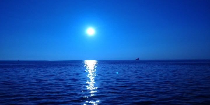 Everything is blue