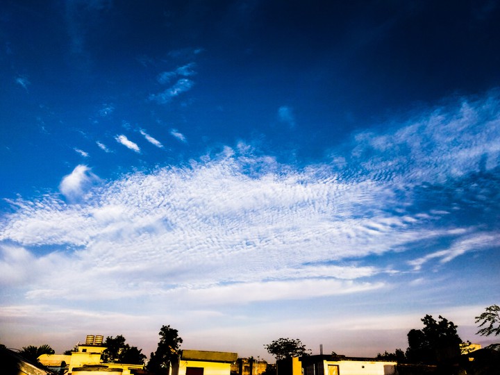 White clouds