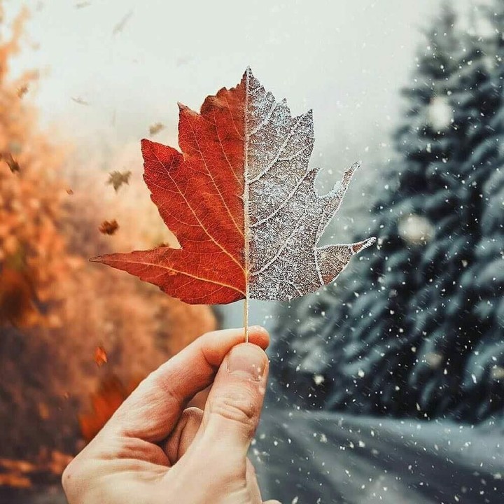 for more photography follow me