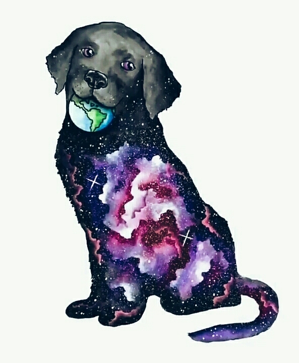 собака