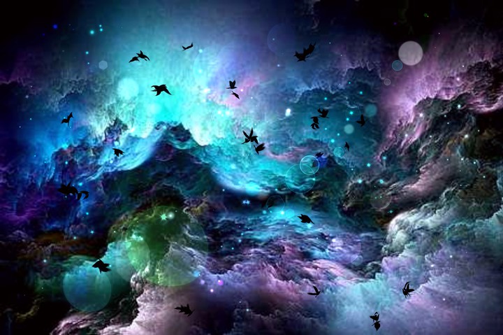 Birds in space