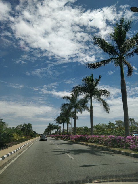 serene road
