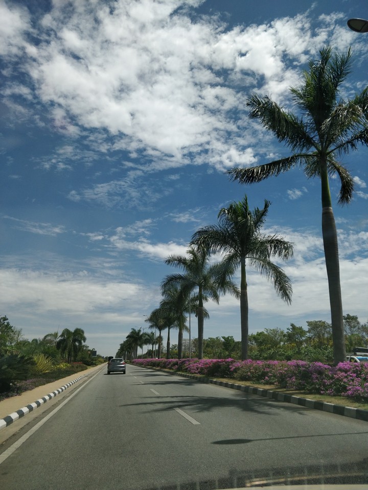 serene road