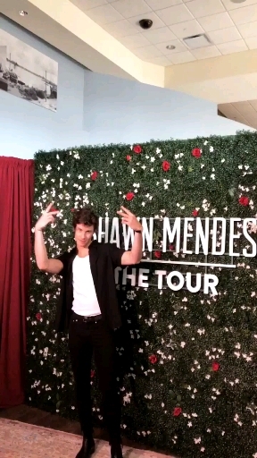 Shawn Mendes