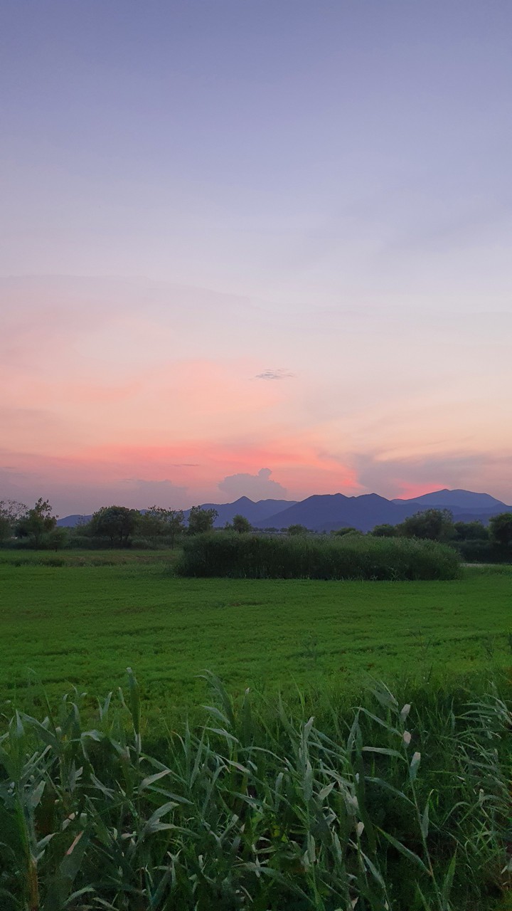 해질녁(sunset)