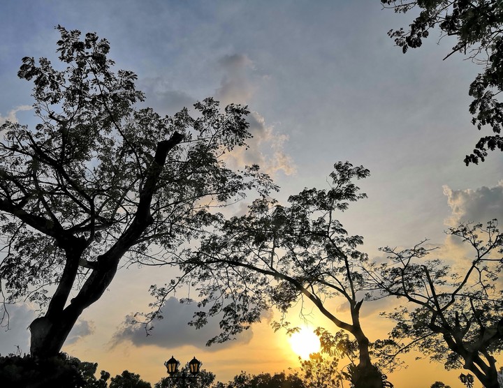 Sunset in the park