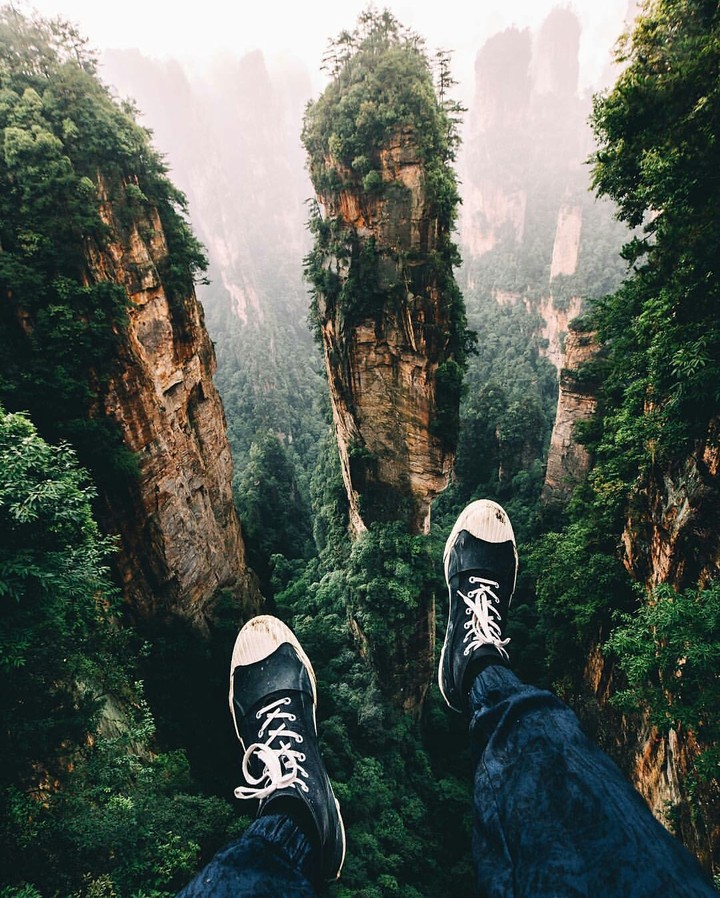 jungle