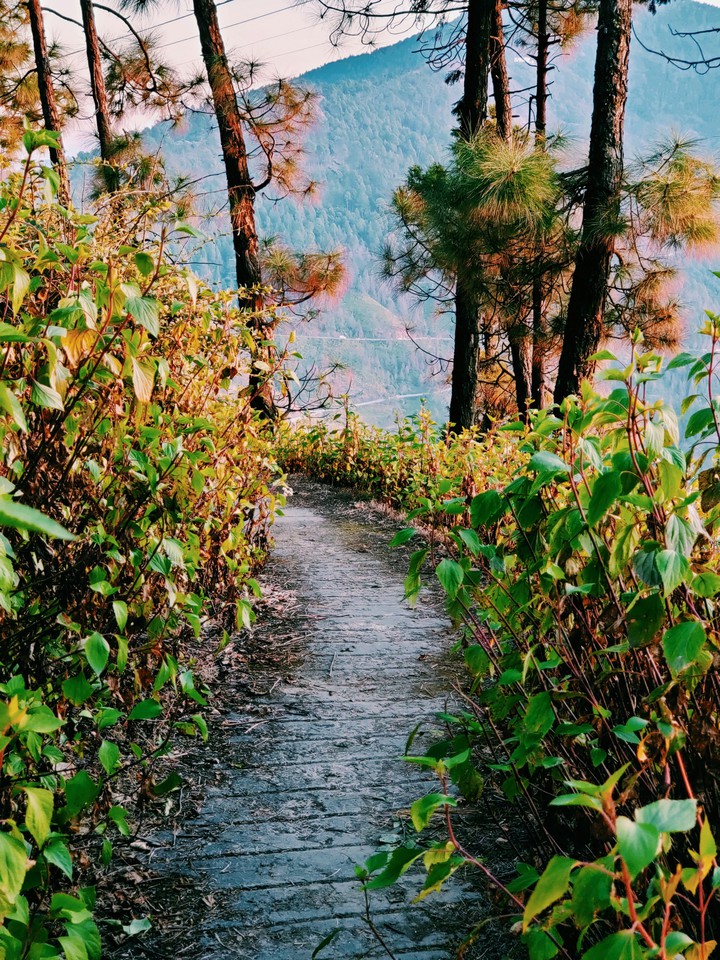 evening walk