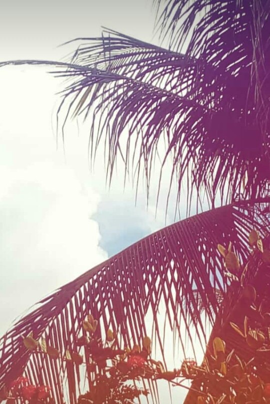 Vida Calma