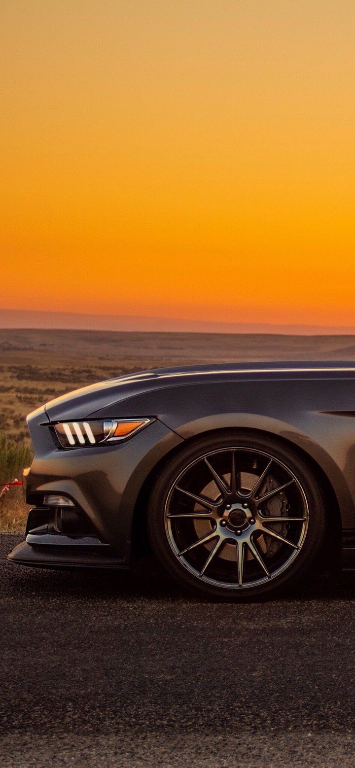 For Cars lovers