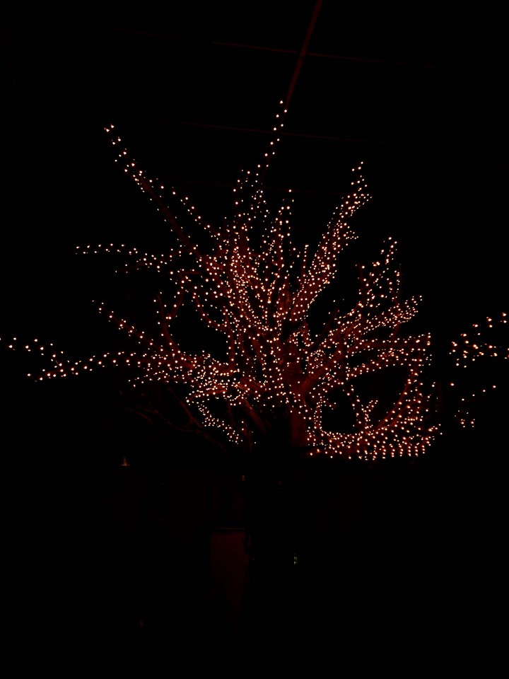 light from nights