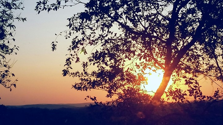 Breathtaking Sunrise