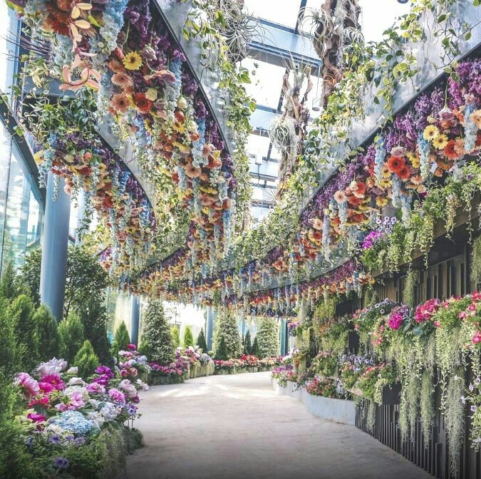 decorated hallway