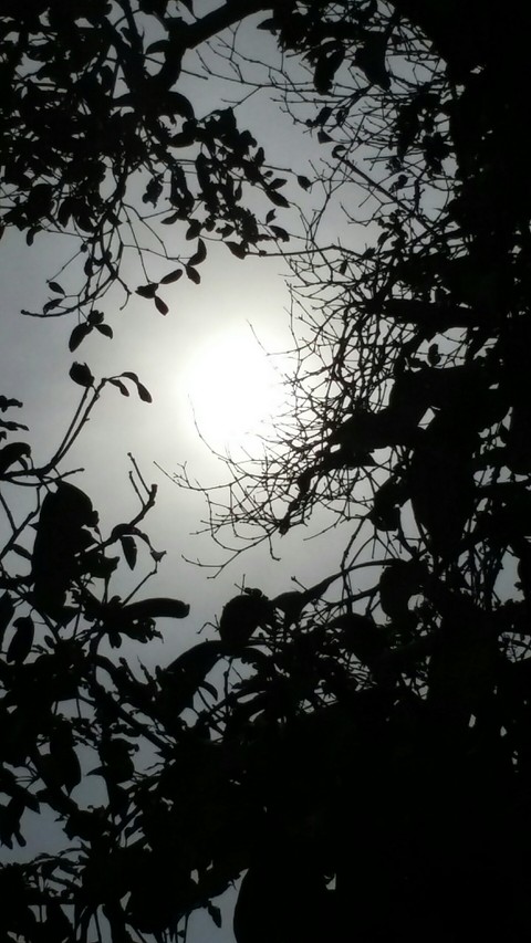 the ultimate sun