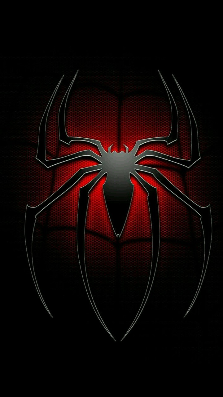 Spyder
