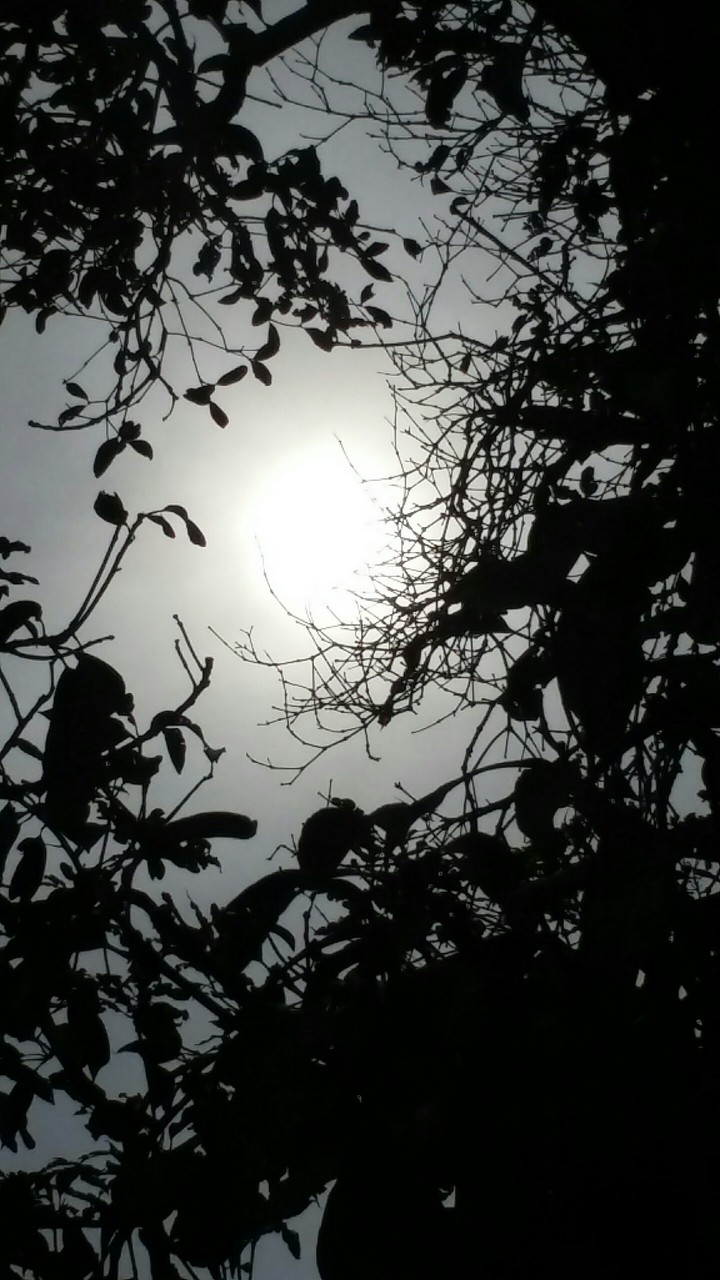 the ultimate sun
