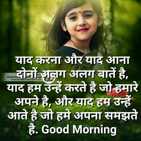 good morning