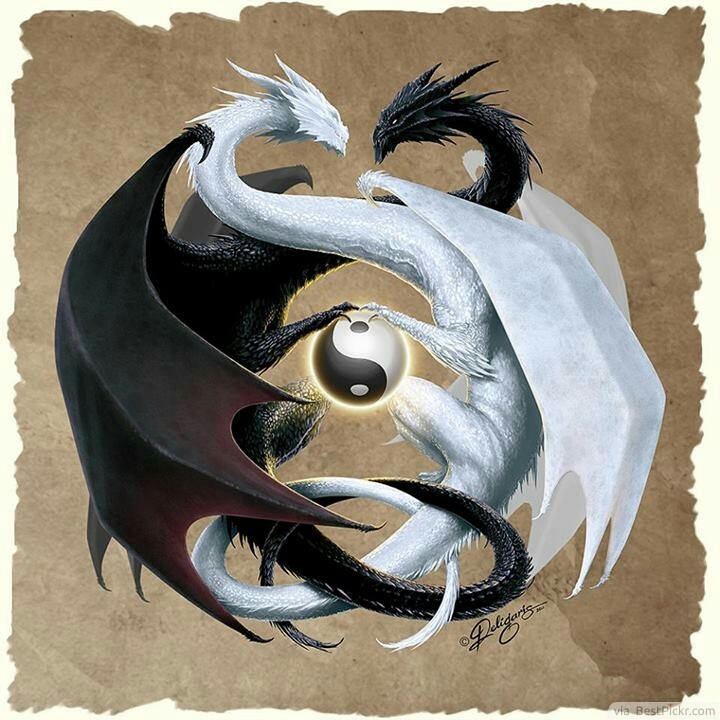 Ying &Yang