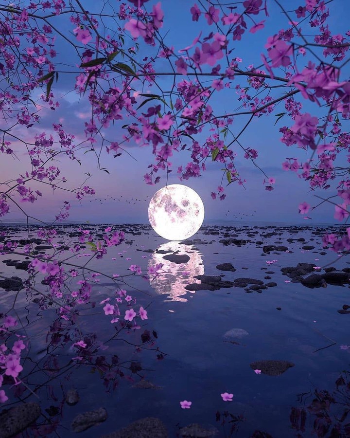 Moon