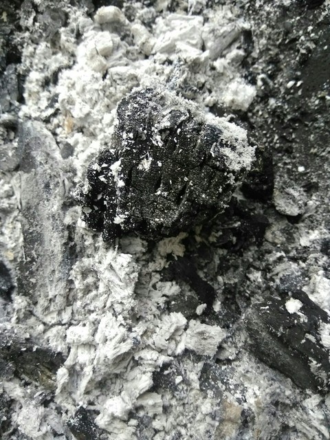 Coal - Charbon