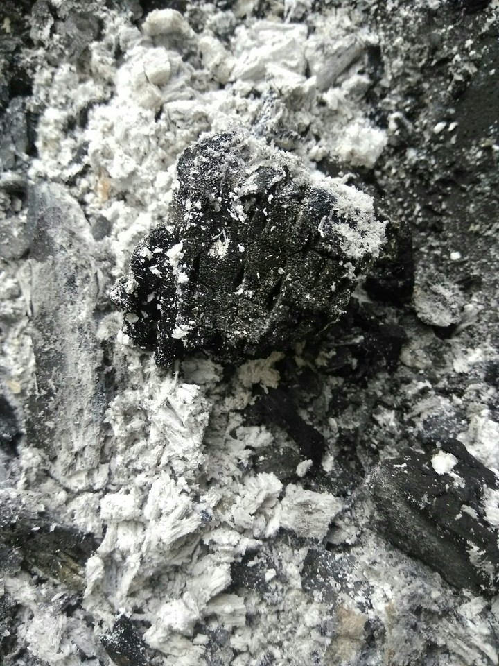 Coal - Charbon