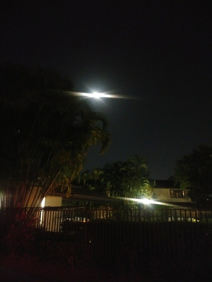 moonlight and pool light