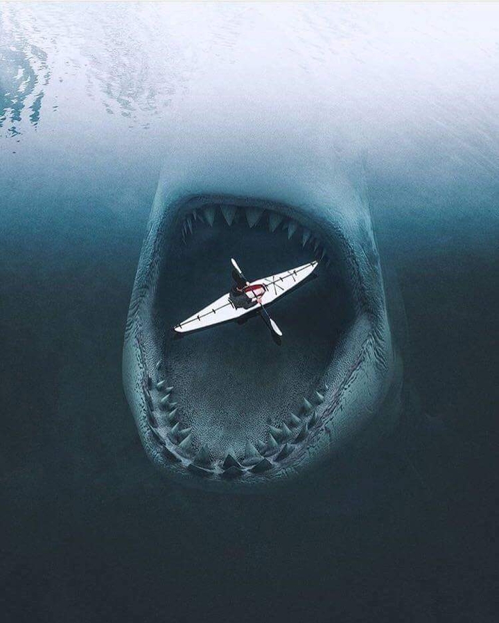 Megalodon