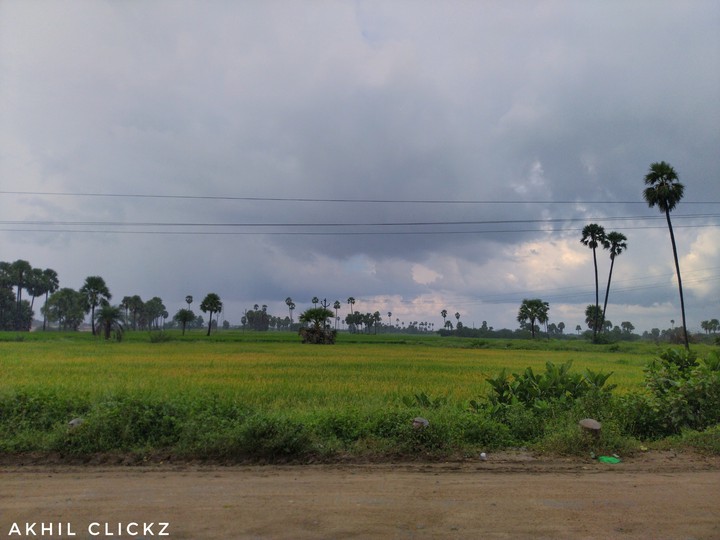 village nature