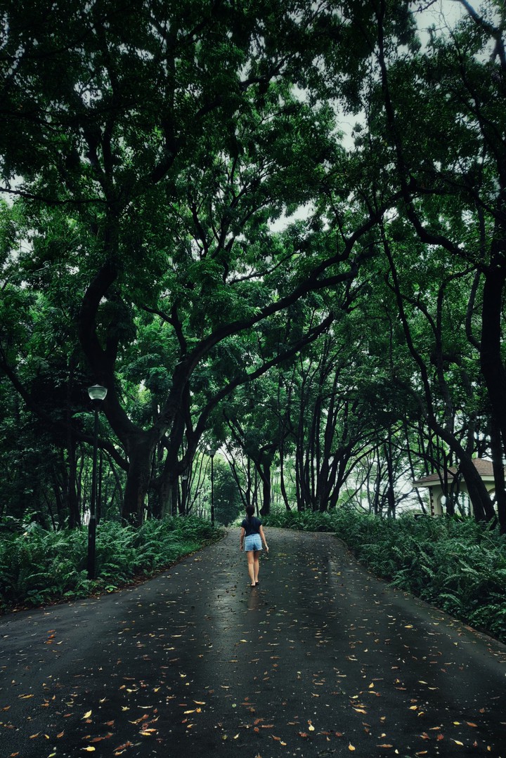 Into the wilderness