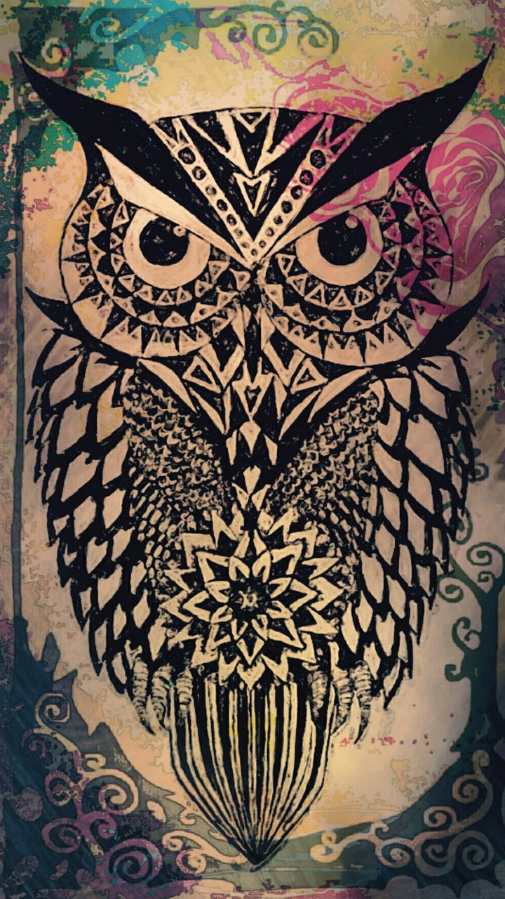 owl