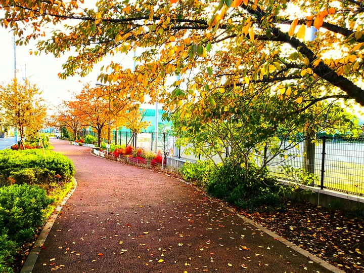 autumn