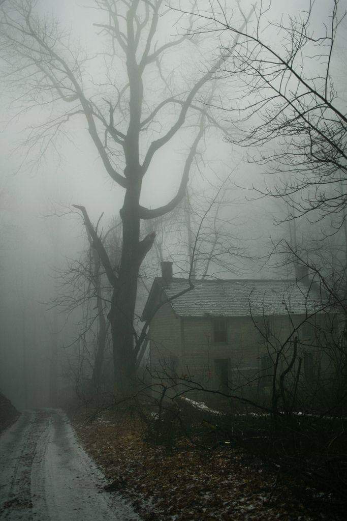 neblina