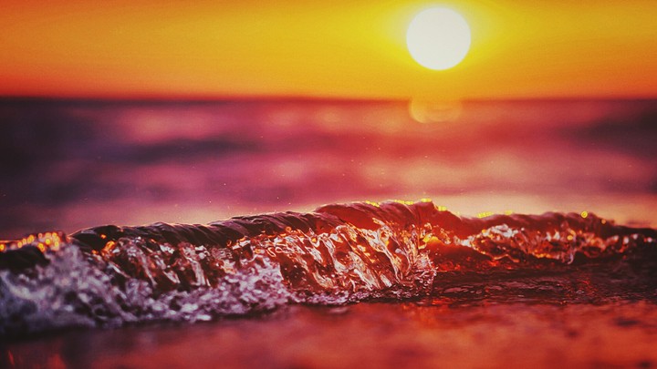 Sea❤