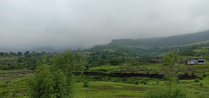 nature