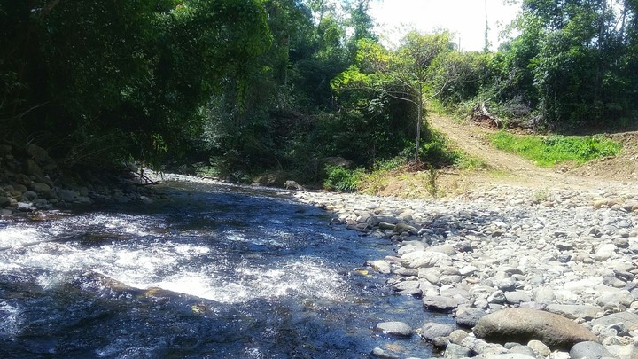 The way to go to Paradise