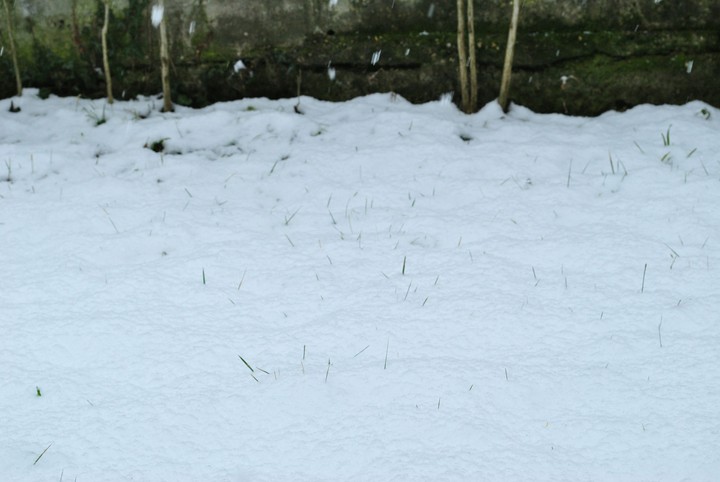 Prima nevicata