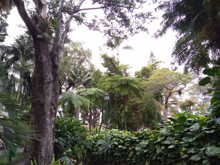 Jardim, Funchal